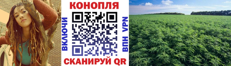 Как найти закладки Приморск Гашиш  МЕТАМФЕТАМИН  Cocaine  Меф мяу мяу  Канабис  A PVP 