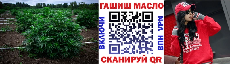 магазин продажи наркотиков  Приморск  Дистиллят ТГК Wax 
