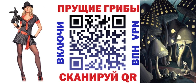 ссылка на мегу как войти  Приморск  Псилоцибиновые грибы GOLDEN TEACHER 